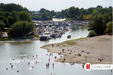 Újvidéken a strandról a Horgászszigetre combig érő vízben sétálhatunk át (Fotó: Dávid Csilla)