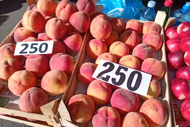 A frissen szedett őszibarack ára 80 és 250 dinár között mozog (Bajić Jenei Klementina felvétele)