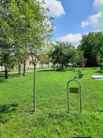 Olimpikonok névtáblája és fája (Dušan Kolundžija felvétele)