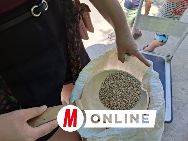 Fotó: Kállai Göblös Nikoletta
