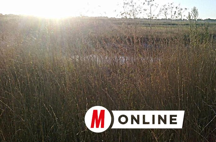 A mai fürdő helyszíne, amelyet teljesen ellepett a gaz
