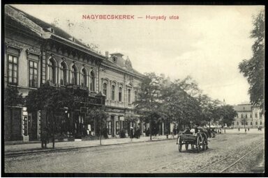 Nagybecskereken esküdött fel a zászlóra