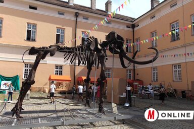 Kika csontvázának másolatát bárki megtekintheti a múzeum udvarában (Fotó: Vidács Hajnalka)
