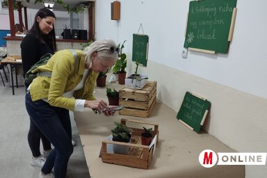 A mutatós növények magukra vonták a figyelmet (Fotó: Lukács Melinda)