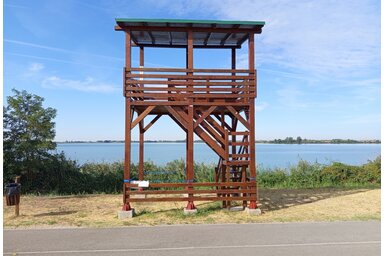 Fotó: Benedek Miklós