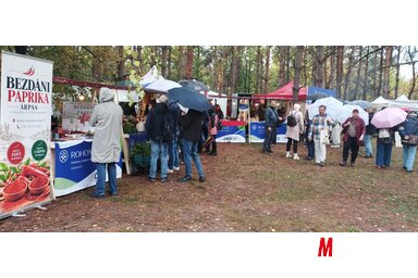 Az idei GastroFesten a Vajdasági Rohonczy Gedeon Mentorprogram résztvevői saját standokkal mutatkoztak be/Kancsár Izabella