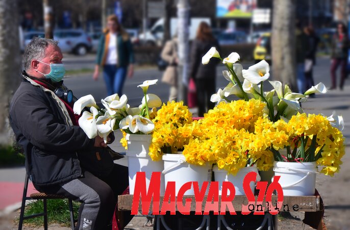 Egyszer kordokumentumként tekintünk majd rá. Készült 2020 március 18-án Újvidéken (Fotó: Dávid Csilla)