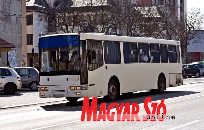 (Fotó: Gergely Árpád) (Fotó: Gergely Árpád)