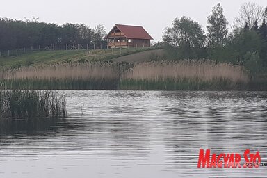 A Bácskossuthfalva és Krivaja közötti tó (Kazinczy Paszterkó Diana felvétele)