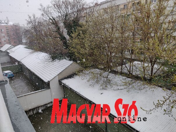 Fotó: Halász Gyula