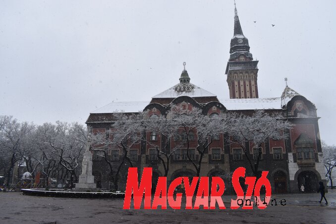 (Fotó: Patyi Szilárd) (Fotó: Patyi Szilárd)