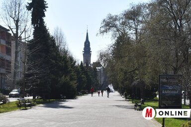 (Patyi Szilárd illusztrációja)