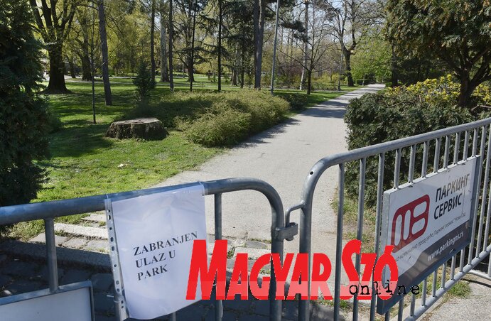 Tombol a tavasz, a parkok viszont lezárva, elkerítve lehangolóan néptelenek (Fotó: Ótos András)