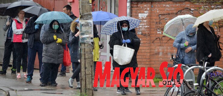 Sok polgárt még a kedd délelőtti eső sem tántorított vissza ügyeinek intézésében (Fotó: Ótos András)