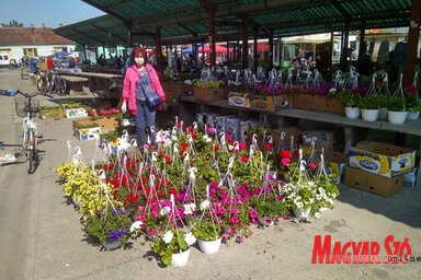 A magyarkanizsai piacon már árulhatnak az őstermelők (Jenei Klementina felvétele)