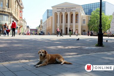 (Fotó: Benedek Miklós)