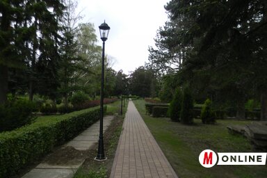 Az Erdőtelepítők Parkjában is sokan szeretnek kutyát sétáltatni (Fehér Rózsa felvétele)