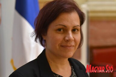 Vicsek Annamária: Az önkormányzatok kell, hogy biztosítsák az óvodák és az általános iskolák számára is a biztonsági felszerelést (Fotó: Ótos András)