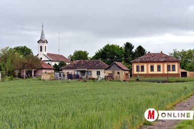 A rendkívüli állapot ideje alatt szinte megállt az élet Ludason (Fotó: Gergely Árpád)