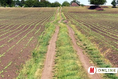 (Fotó: Gergely Árpád)