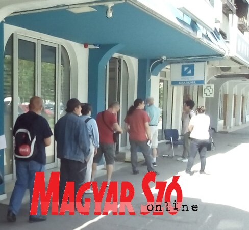 Az önkormányzati hivatalok biztonságos működése érdekében 83 millió dinárt költenek az eredeti szoftverek megvásárlására (Szeli Balázs felvétele)