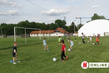 Nagy lendülettel edzenek a legfiatalabb focisták Adán (Fotó: Csincsik Zsolt)