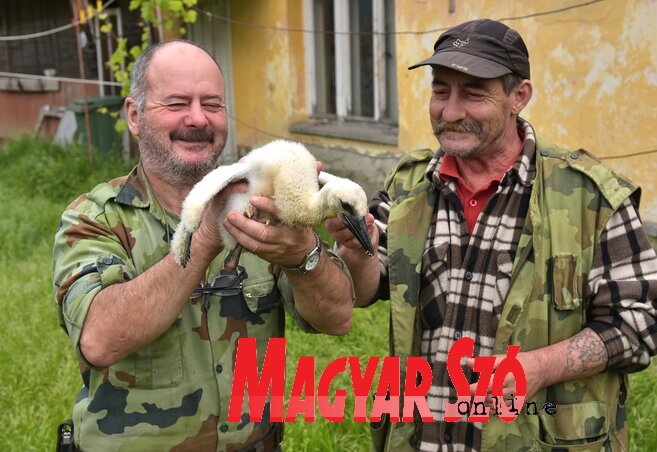 A padéi gólyamentők, Attila és József a megmentett gólyafiókával (Gergely József felvétele) A padéi gólyamentők, Attila és József a megmentett gólyafiókával (Gergely József felvétele)