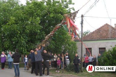 A májusfa bontásán mintegy ötvenen gyűltek össze (Kónya-Kovács Otília felvétele)