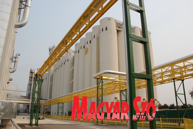 A fertőzött az óbecsei Sojaprotein gyár egyik alkalmazottja (Fehér Rózsa felvétele)