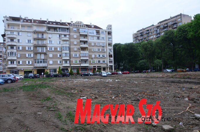 A szóban forgó, igen attraktív telken korábban az Albus szappangyár valamikori épülete volt, a romgyárat pár hónappal ezelőtt lebontott (Dávid Csilla felvétele)