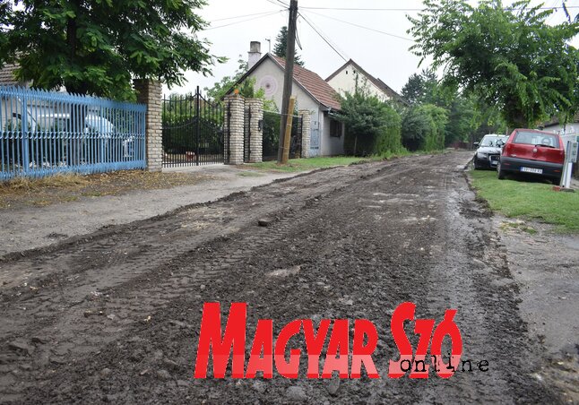 A Tölgy utca hamarosan új aszfaltburkolatot kap (Patyi Szilárd felvétele) A Tölgy utca hamarosan új aszfaltburkolatot kap (Patyi Szilárd felvétele)