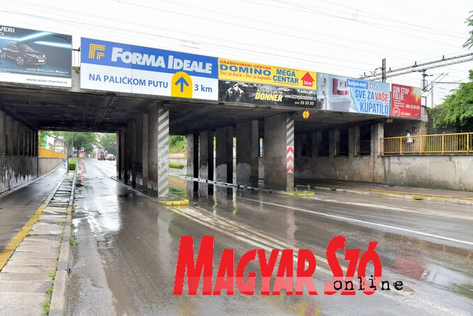 Fotó: Gergely Árpád Fotó: Gergely Árpád
