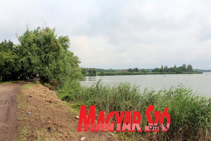 A Palicsi-tó partjának rendezése márciusban vette kezdetét (Benedek Miklós felvétele) A Palicsi-tó partjának rendezése márciusban vette kezdetét (Benedek Miklós felvétele)