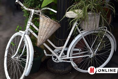 Fotó: Dávid Csilla