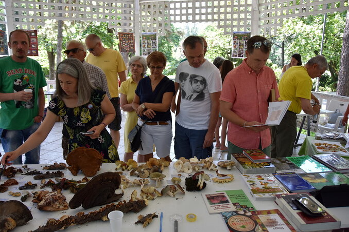 Dávid Csilla illusztrációja