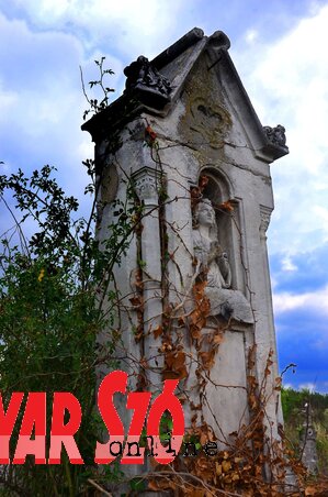 Fotó: Dávid Csilla Fotó: Dávid Csilla