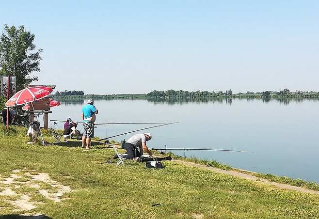 A szakértők szerint a tóbol fogott hal alkalmas a fogyasztásra