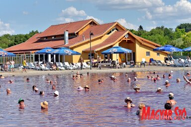 A rózsaszín gyógyvizű tó legmélyebb pontja 1,6 méter (Fotó: Gergely Árpád)