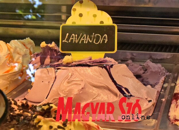 Az Elita fagyizó legfrissebb újítása a levendula ízesítésű fagylalt (Fotó: Gergely Árpád)