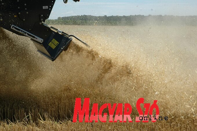 (Fotó: Ótos András)