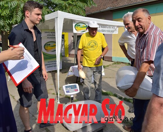 Egy korábbi búzagyűjtési akció (Fotó: Gergely József) Egy korábbi búzagyűjtési akció (Fotó: Gergely József)