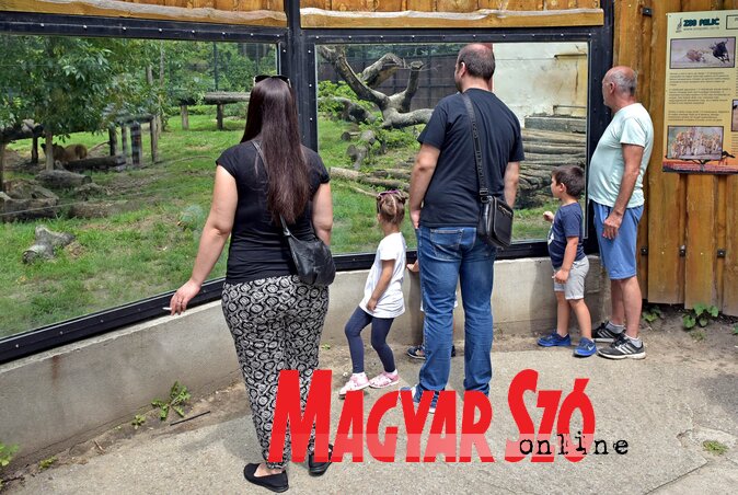 A Palicsi Állatkert továbbra is fogadja a látogatókat (Fotó: Gergely Árpád) A Palicsi Állatkert továbbra is fogadja a látogatókat (Fotó: Gergely Árpád)