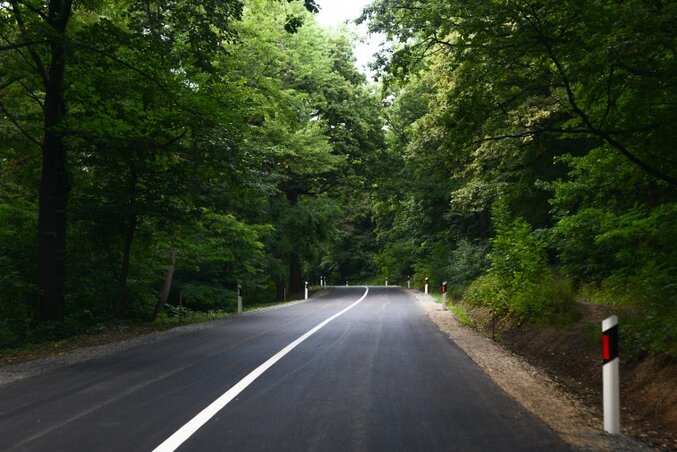(Fotó: vojvodina.gov.rs) (Fotó: vojvodina.gov.rs)
