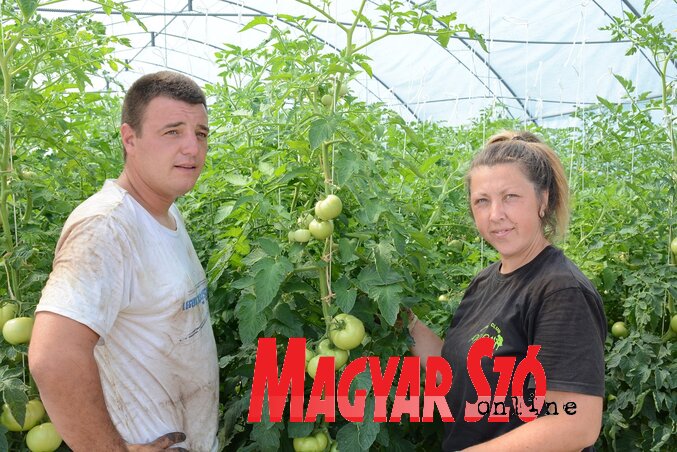 Goran és Krisztina (Paraczky László felvétele)