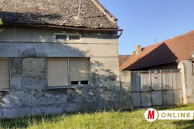 (Paraczky László felvétele)