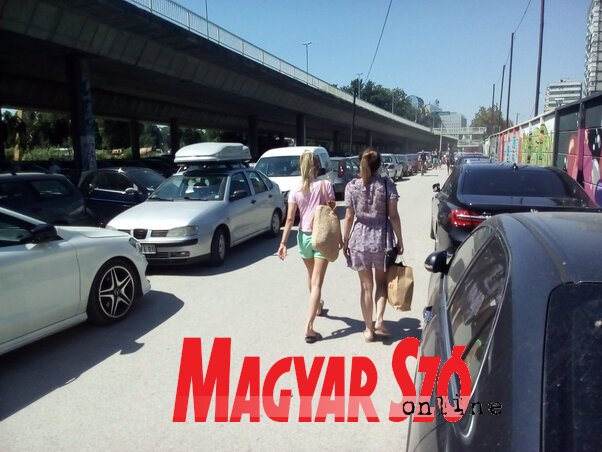 Újvidék legkedveltebb fürdőhelyén minden kabint bérbe adtak, a kávézóknak viszont csak a 70 százaléka üzemel. Ettől függetlenül látogatottsági rekordok dőlnek meg, hétvégi ottjártunkkor megszámlálhatatlan belgrádi, nagybecskereki, sőt, még požarevaci rendszámtáblás autót láttunk a környező parkolókon, járdákon, bicikliutakon, füves területeken... (Szeli Balázs felvétele) Újvidék legkedveltebb fürdőhelyén minden kabint bérbe adtak, a kávézóknak viszont csak a 70 százaléka üzemel. Ettől függetlenül látogatottsági rekordok dőlnek meg, hétvégi ottjártunkkor megszámlálhatatlan belgrádi, nagybecskereki, sőt, még požarevaci rendszámtáblás autót láttunk a környező parkolókon, járdákon, bicikliutakon, füves területeken... (Szeli Balázs felvétele)