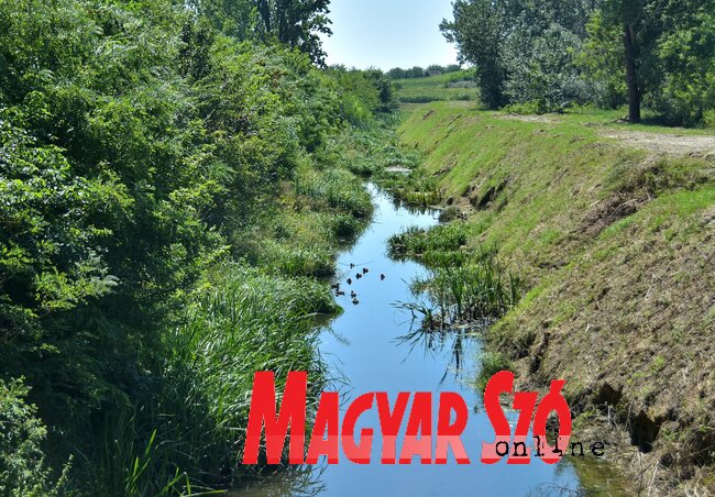 A Krivaja Topolya után A Krivaja Topolya után