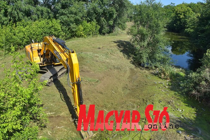 A Krivaja menti bokrosok bezúzása júliusban, amikor még több madárfaj költ