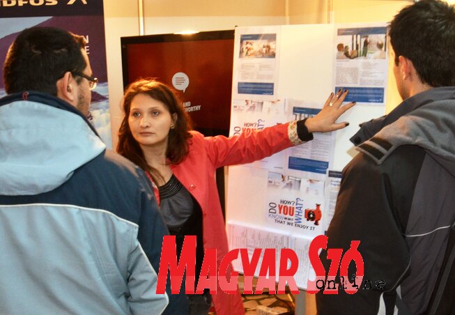 A középiskolai végzettségűnek havi 20 000, a felsőfokú végzettségűnek pedig 24 000 dinár jár kilenc hónapig (Fotó: Dávid Csilla)