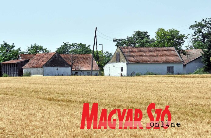 Fotó: Gergely Árpád Fotó: Gergely Árpád